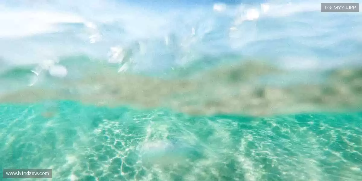 🎉赛事周边，让热爱更有型！🎈